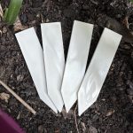 4 P'tits Piquets vu du dessus dans de la terre