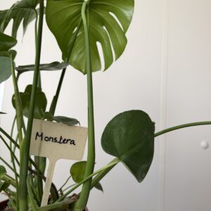L'affichette