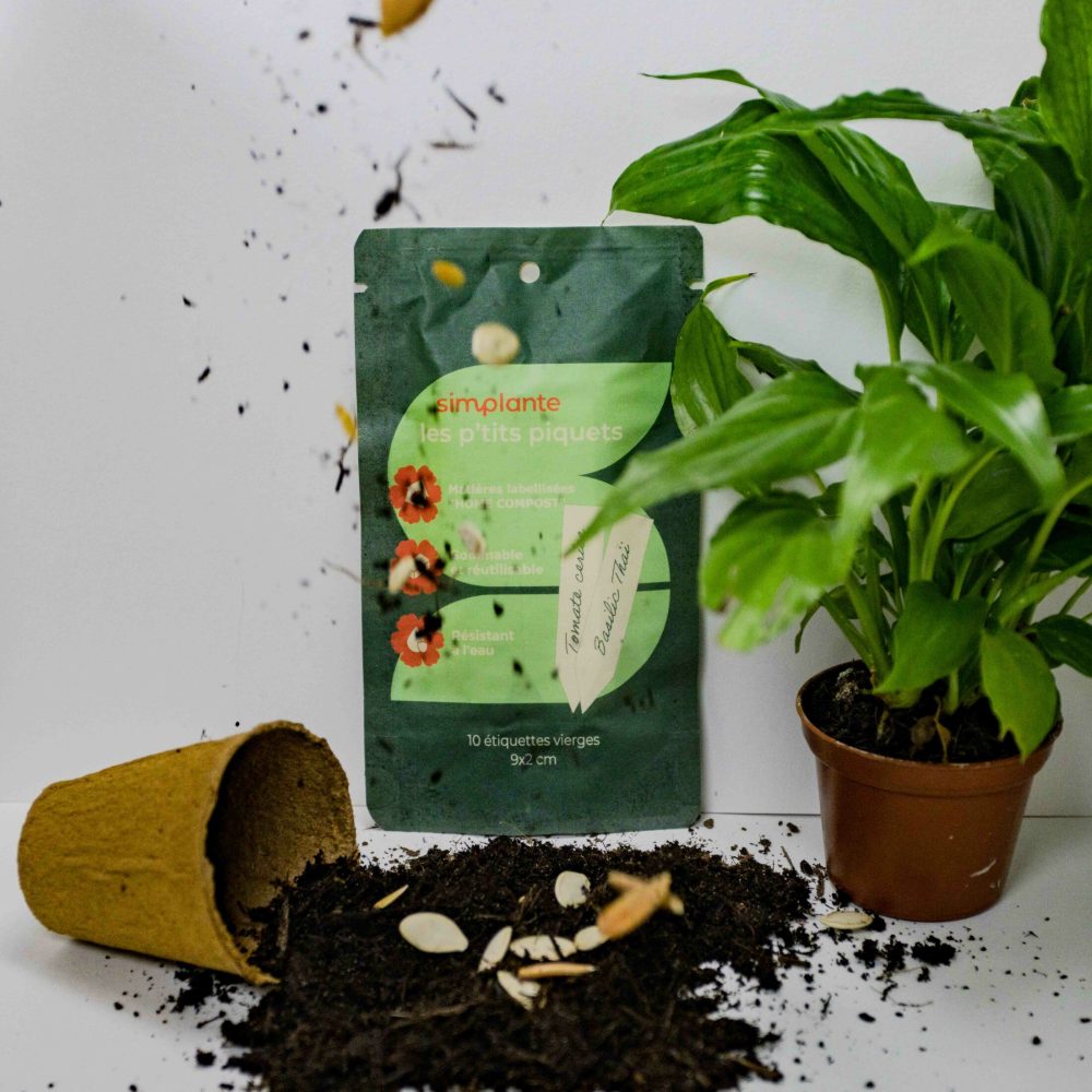 Photo des P'tits Piquets avec du terreau devant, une chute de graine et une plante sur le côté
